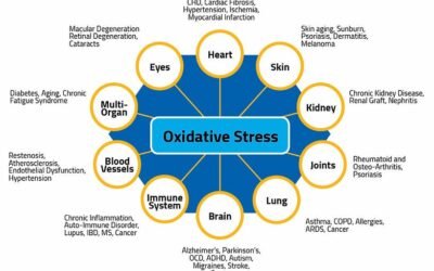 4 Best Anti-inflammatory Technologies – Molecular Hydrogen, PEMF, Low-level Laser and Polarized Light