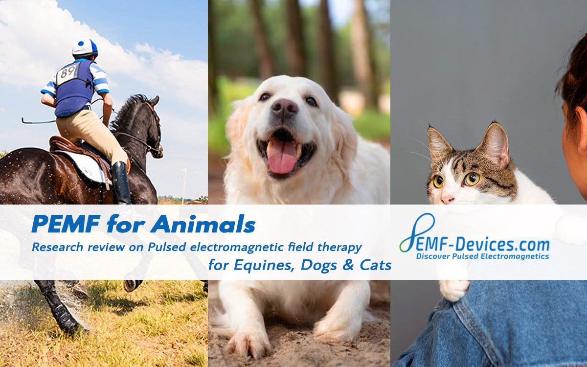 PEMF for Animals - Equines, Dogs and Cats - Research Review PEMF for Animals - Equines, Dogs and Cats - Research Review