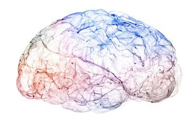 Brain Regeneration and Anti-Inflammation: Keys to Longevity