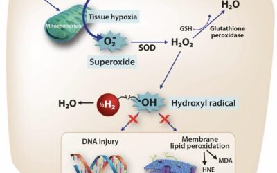 Electromagnetic Therapy, Molecular H2, and Light for Musculoskeletal Disorders