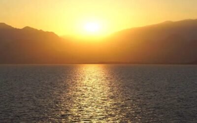 Happy Solstice; Our Most Economical & Still the Best; Featured Research Articles on PEMF, H2, LLLT & More!