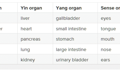 Healing of the 5 Senses; Hydrogen, PEMF, LLLT for Ears, Eyes, Skin & More!