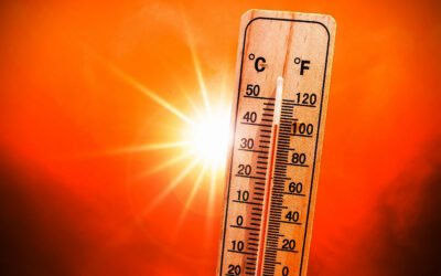 Feel Better in Extreme Weather; Research on PEMF, Molecular Hydrogen; Featured Machines & More!