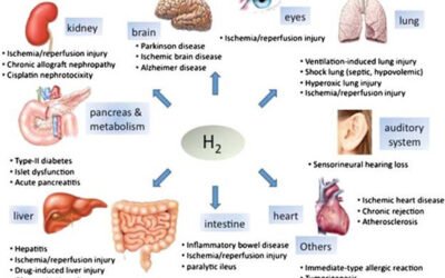 How Hydrogen is Functional Nutrition & it’s Life Extension Effects; PEMF for Sports Physiotherapy and More
