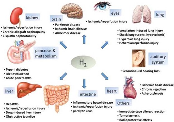 How Hydrogen is Functional Nutrition & it’s Life Extension Effects; PEMF for Sports Physiotherapy and More