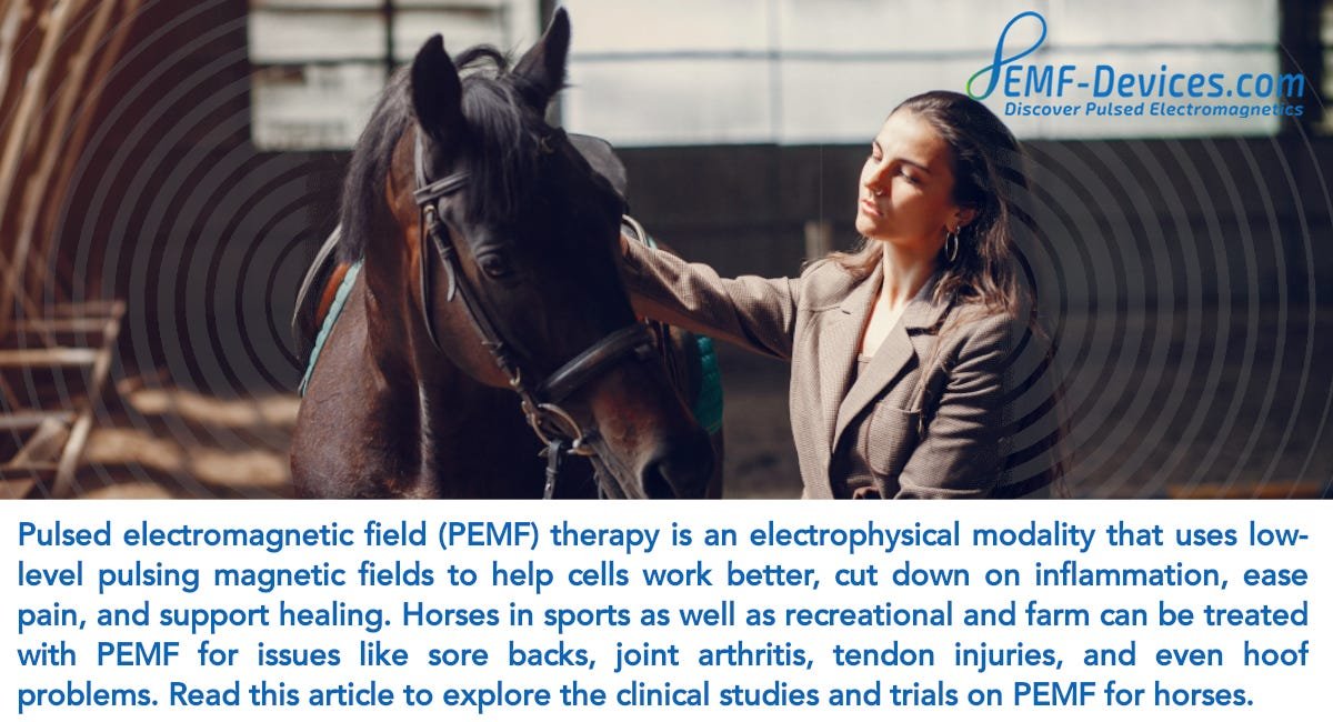 pulse pemf therapy for horses