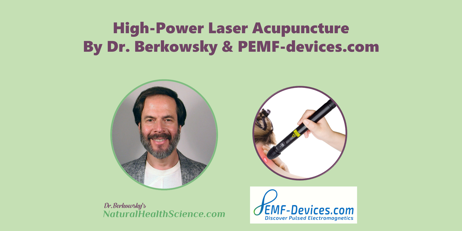 laser acupuncture webinar by dr. bruce berkowsky naturopath herbalist acupuncturist united states canada