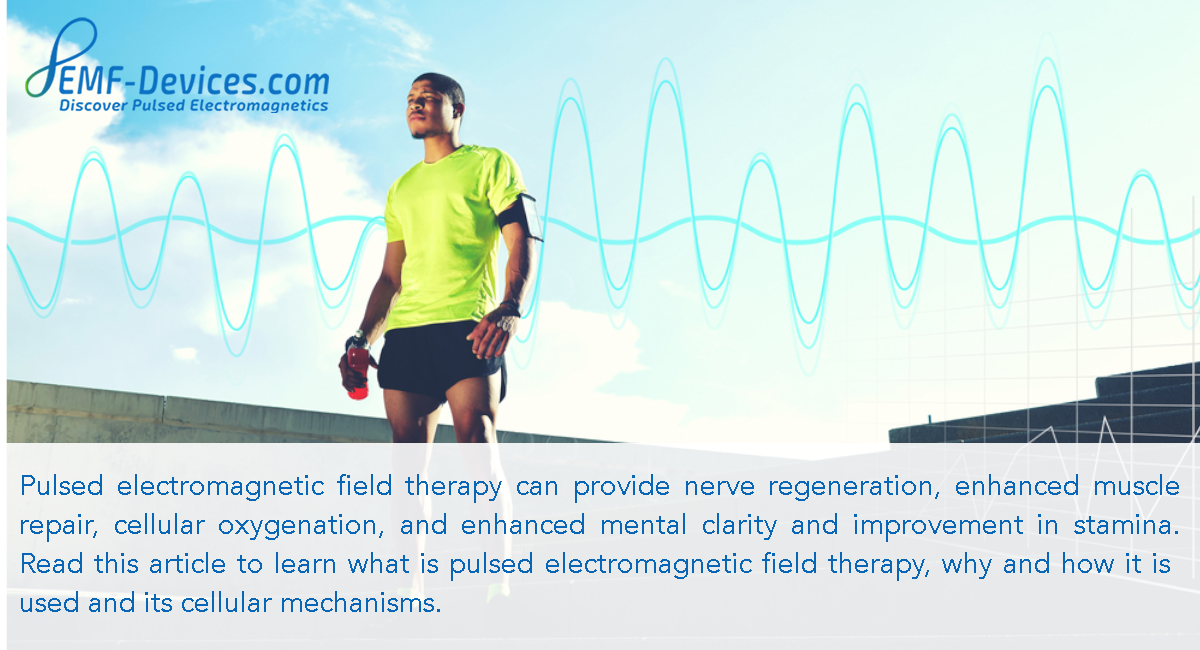 Cellular Mechanisms of Pulsed Electromagnetic Fields - A Research Review